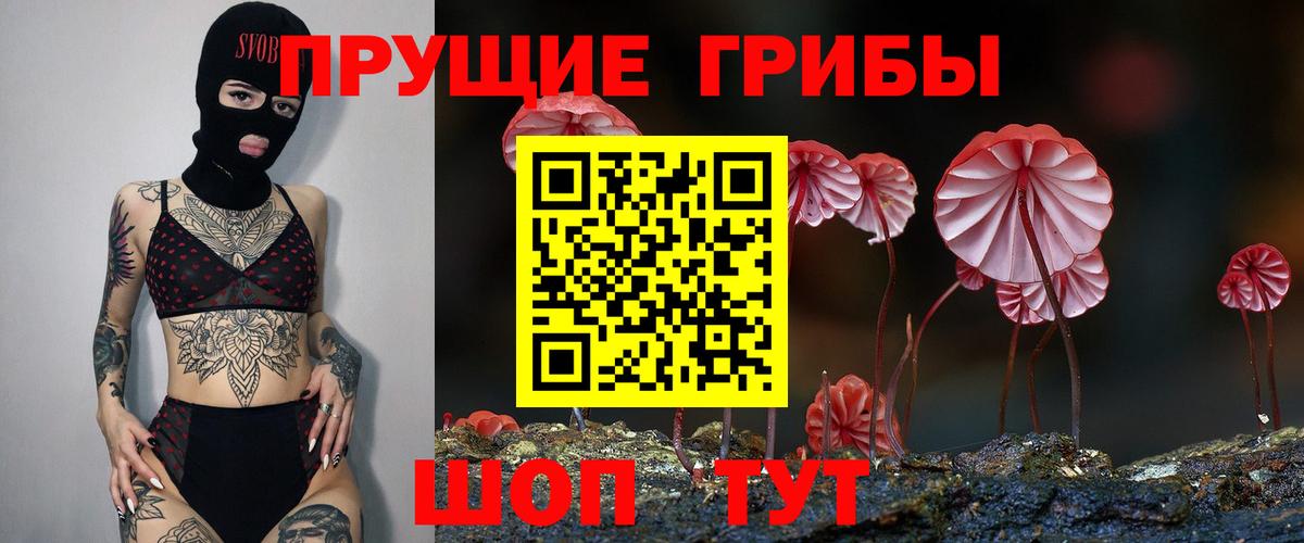 цены наркотик  Галлюциногенные грибы прущие грибы  Ялуторовск  Псилоцибиновые грибы ЛСД 