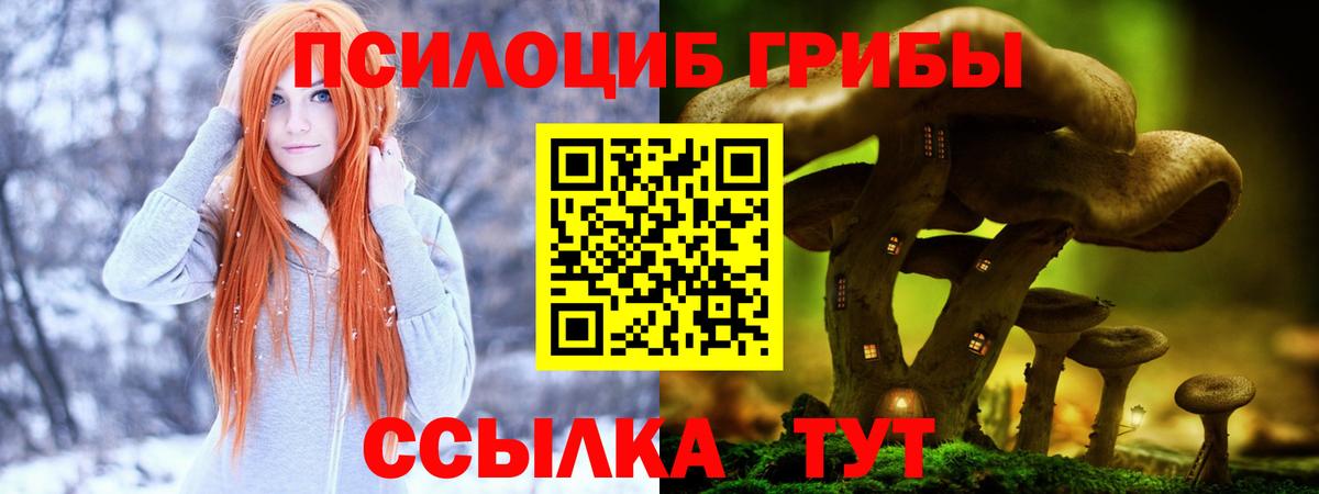 Галлюциногенные грибы GOLDEN TEACHER Ялуторовск